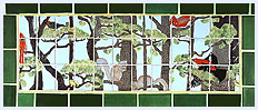 Pinelands Animals in Treetops