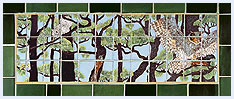 Pinelands Animals in Treetops