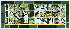 Pinelands Animals in Treetops