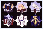 Student Tile Detai