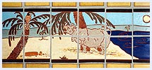 How The Rhino Got His Skin