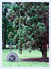Entry Marker