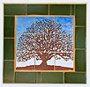 Mercer Oak