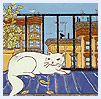 Cat on Porch